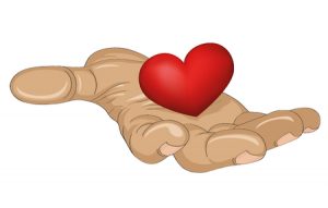 70634738 - red heart in the hand.  gesture open palm.  vector illustration on white background.